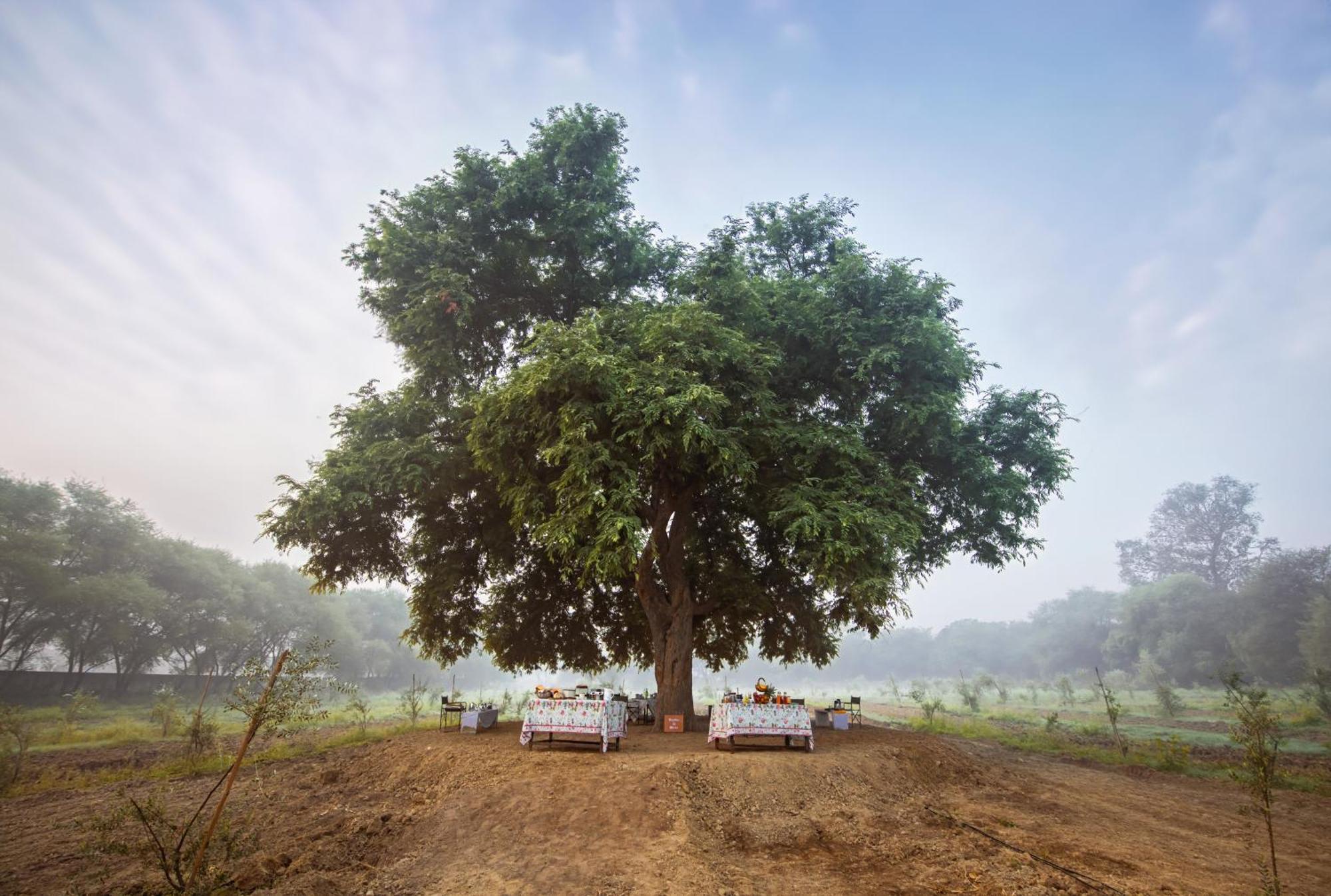 Mela Kothi - The Chambal Safari Lodge Bāh Extérieur photo